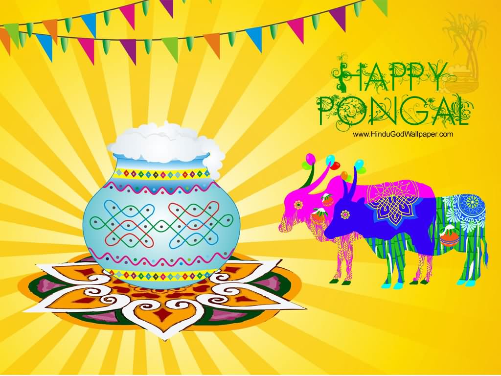 Happy Pongal Bulls Picture