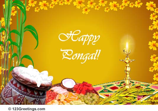 Happy Pongal Ecard