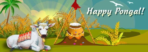 Happy Pongal Facebook Cover Picture