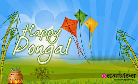 Happy Pongal Flying Kites Greetings Picture