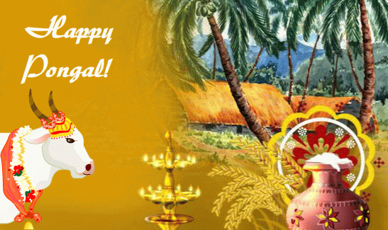 Happy Pongal Greeting Card