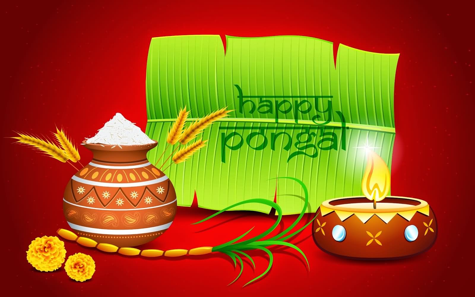 Happy Pongal Greetings HD Wallpaper