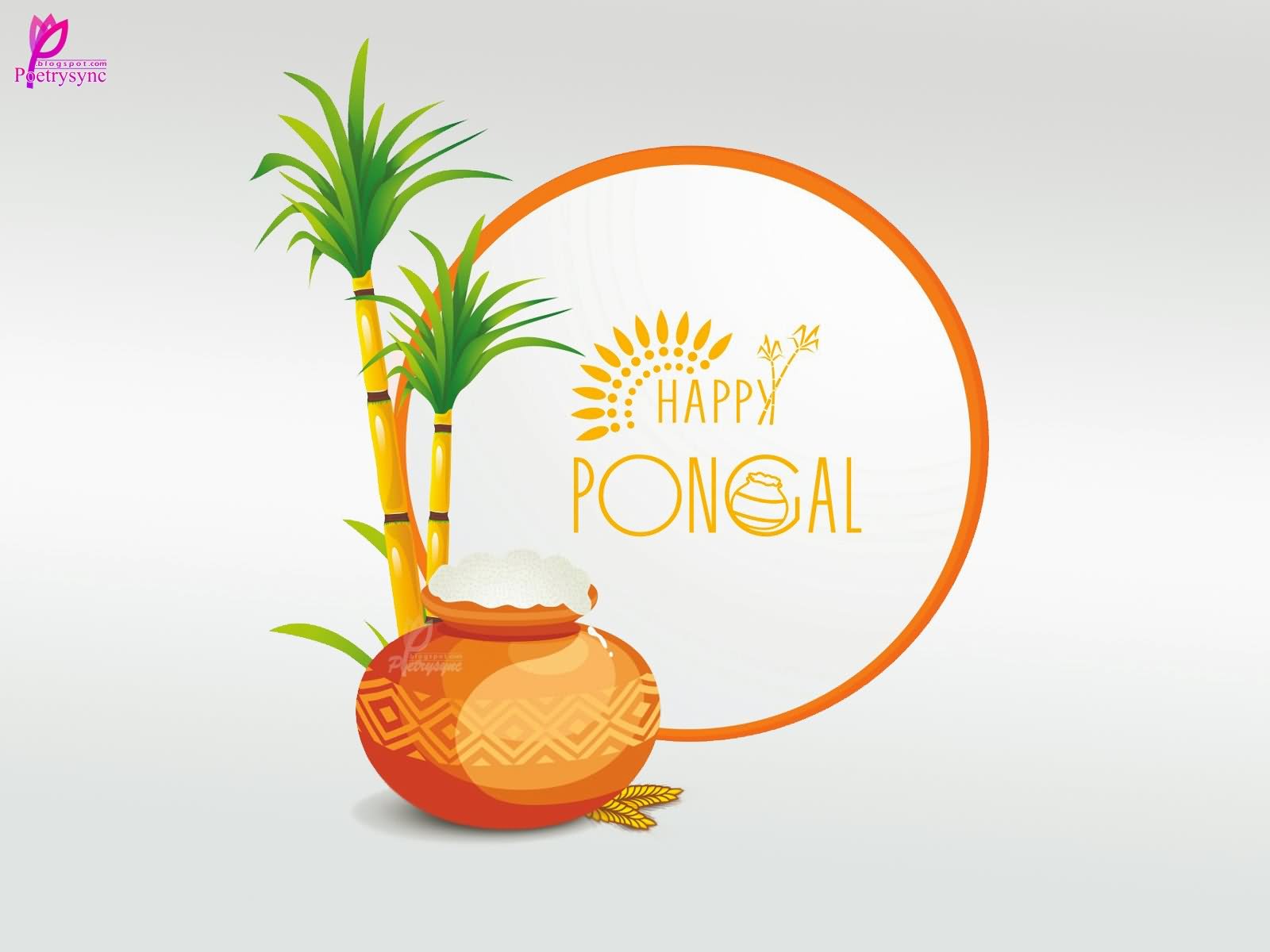 Happy Pongal HD Wallpaper Image