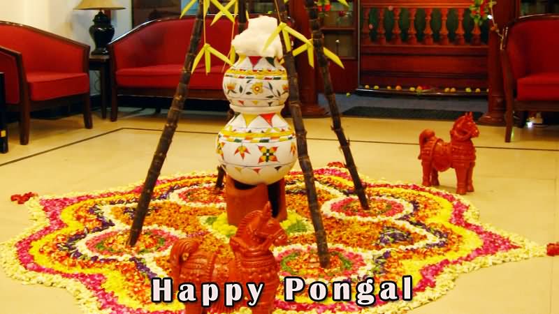 Happy Pongal Rangoli Decoration Greetings