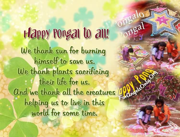 Happy Pongal To All Greetings
