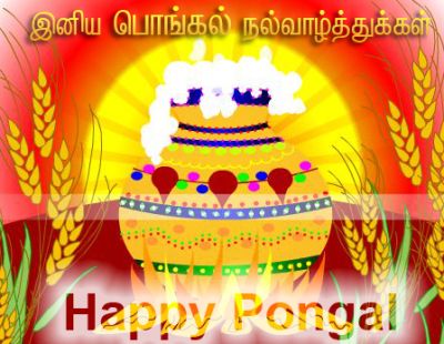 Happy Pongal Wishes Picture For Facebook