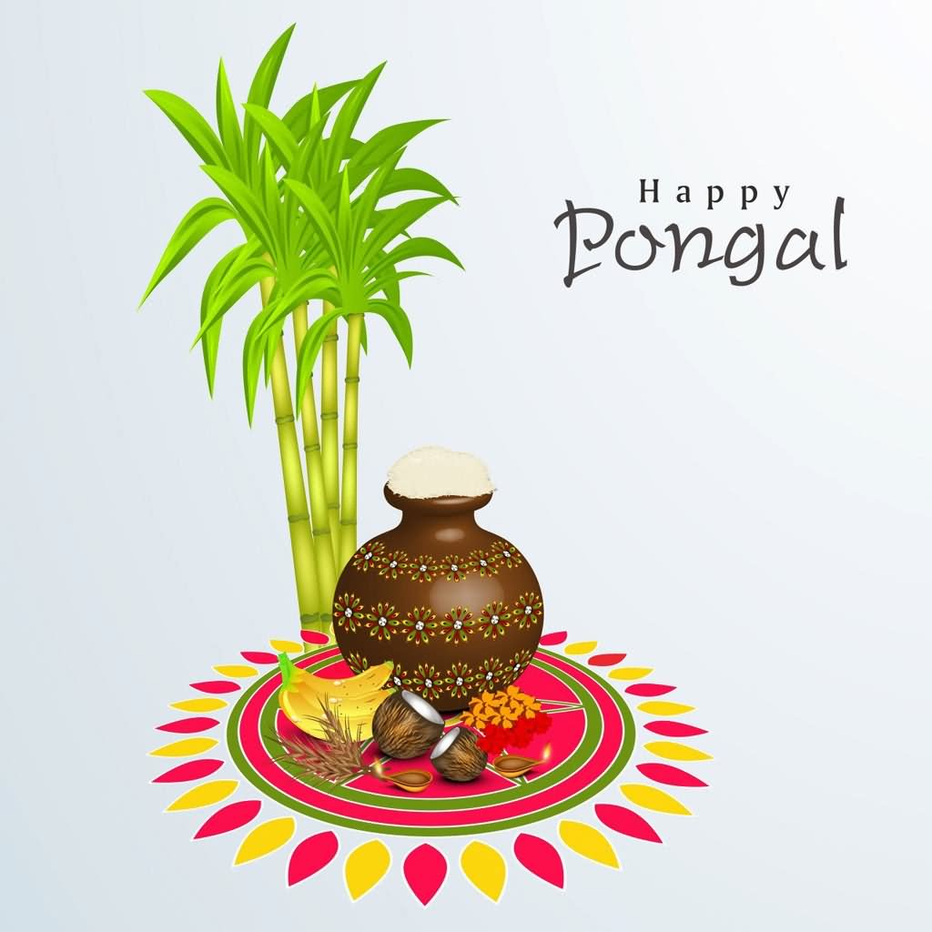 Happy Pongal  Wishes