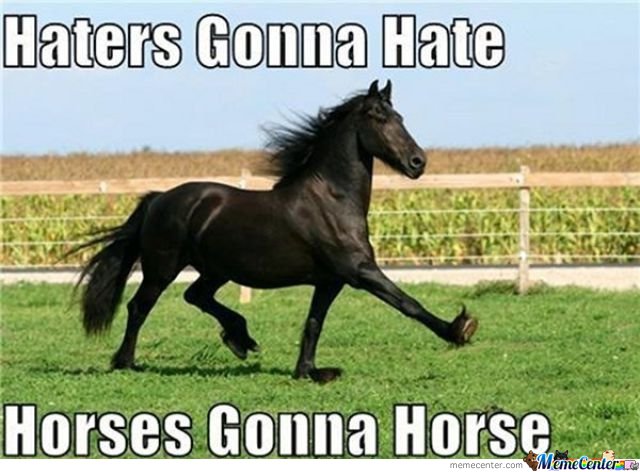 Haters Gonna Hate Funny Horse Meme