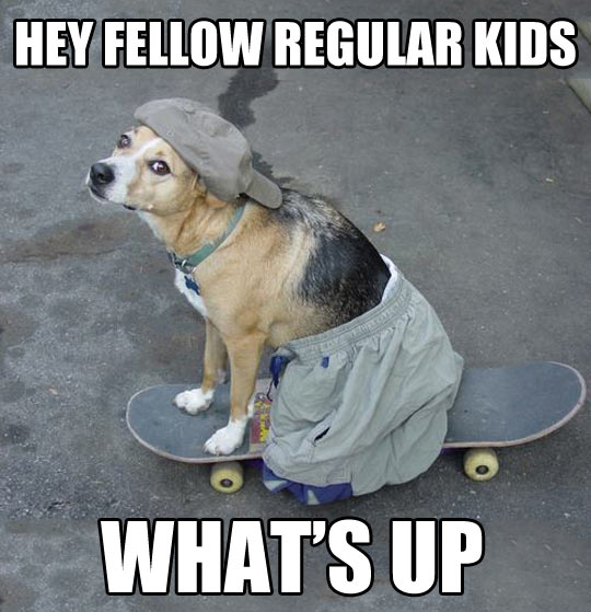 Hey Fellow Regular Kids Funny Skateboarding Meme