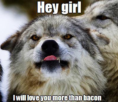 Hey I Will Love You More Than Bacon Funny Wolf Funny Meme