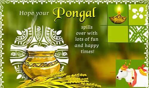Hope Your Pongal Spills Over With Lots Of Fun And Happy Times