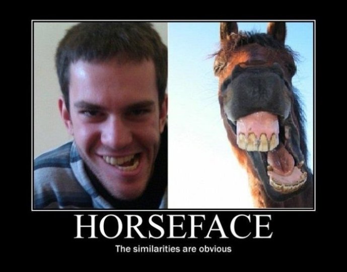 Horse Face Funny Poster
