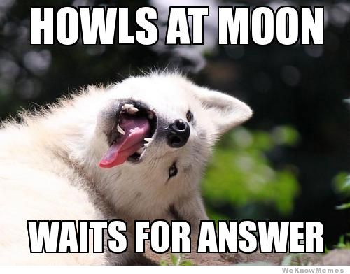 Howls At Moon Funny Wolf Meme
