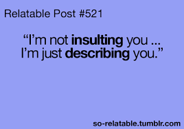 I Am Just Describing You Funny Insult Picture