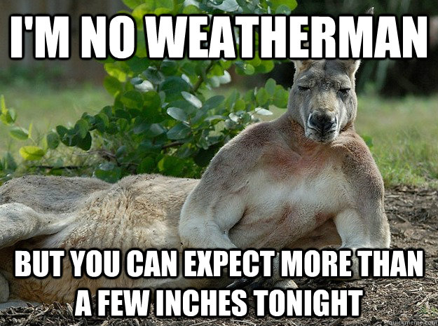 I Am No Weatherman Funny Kangaroo Meme