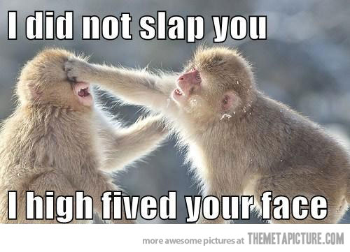 I Did Not Slap You Funny Monkey Meme