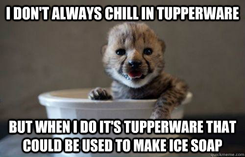 I Don't Always Chill In Tupperware Funny Tiger Meme
