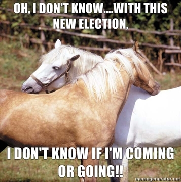 I Don't Known If I Am Coming Or Going Funny Horse Meme