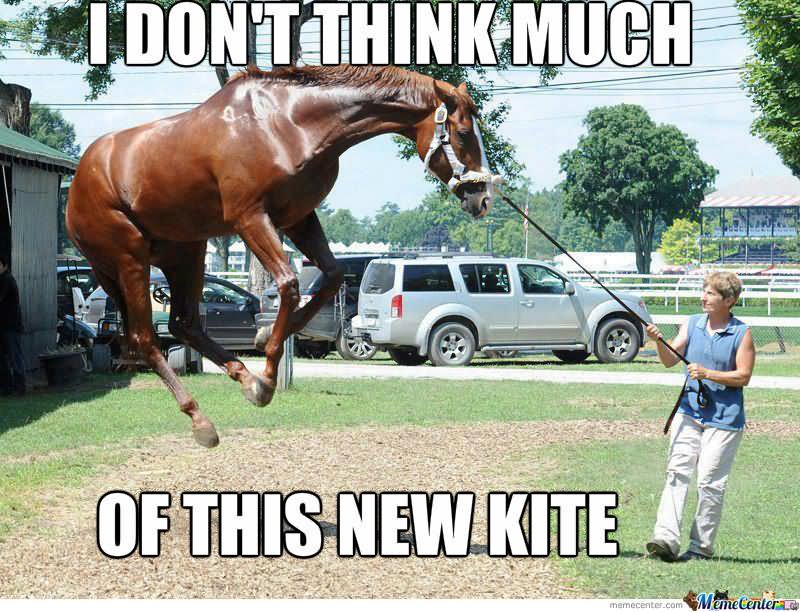 I Don't Think Much Of This New Kite Funny Horse Meme