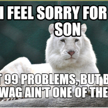 I Feel Sorry For Son Funny Tiger Meme