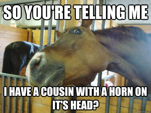 I Have A Cousin With A Horn On It's Head Funny Horse Meme