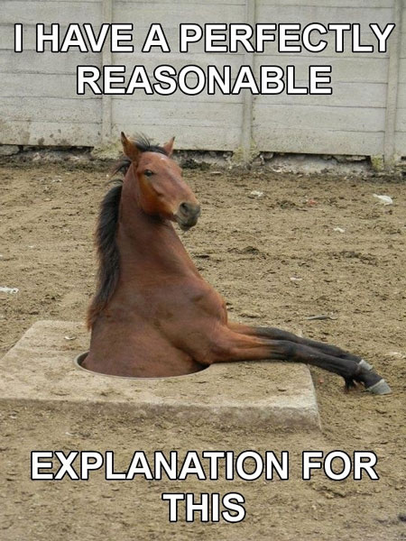 I Have A Perfectly Reasonable Funny Horse Meme