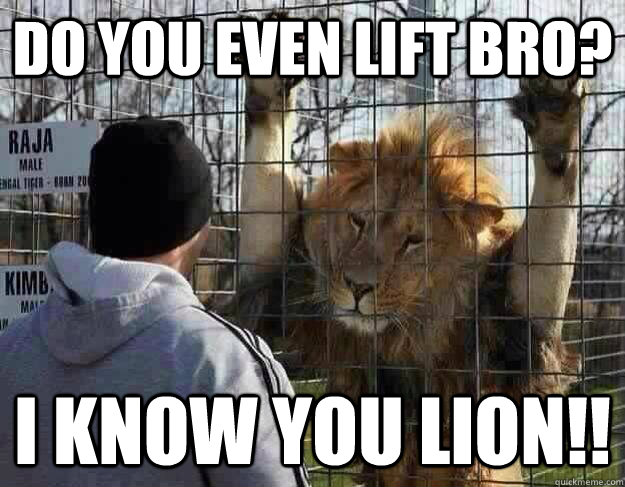 I Know You Lion Funny Meme