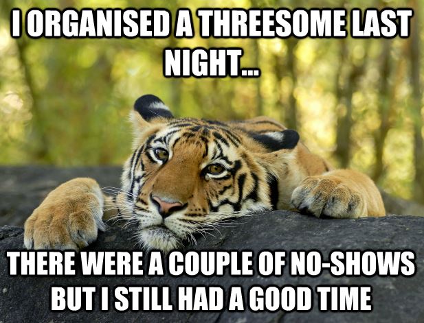 I Organised A Threesome Last Night Funny Tiger Meme