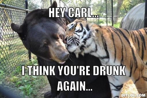 I Think You Are Drunk Again Funny Tiger Meme