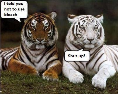 I Told You Not Use Bleach Funny Tiger