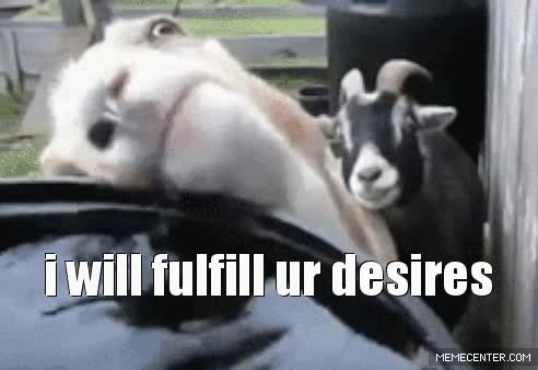 I Will Fulfill Ur Desire Funny Goat Meme