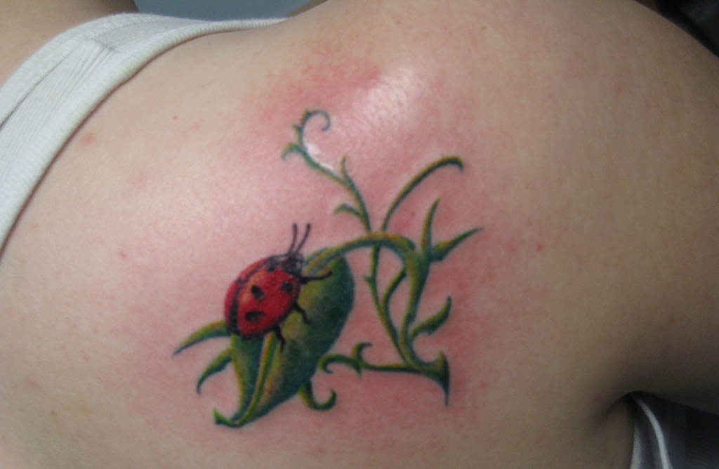Ladybird On Leave Tattoo On Man Right Back Shoulder