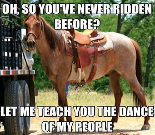 Let Me Teach You The Dance Of My People Funny Horse Meme