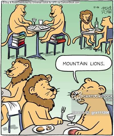 Lions Eating On Table Funny Cartoons