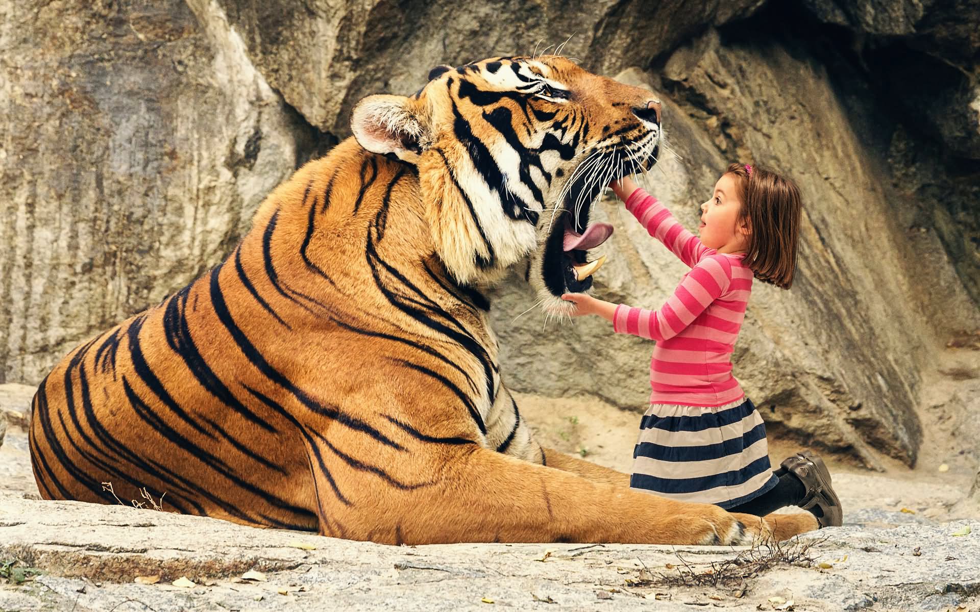 Little Girl Open Tiger Mouthe Funny Picture