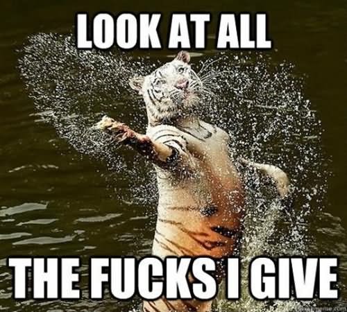 Look At All Funny Tiger Meme