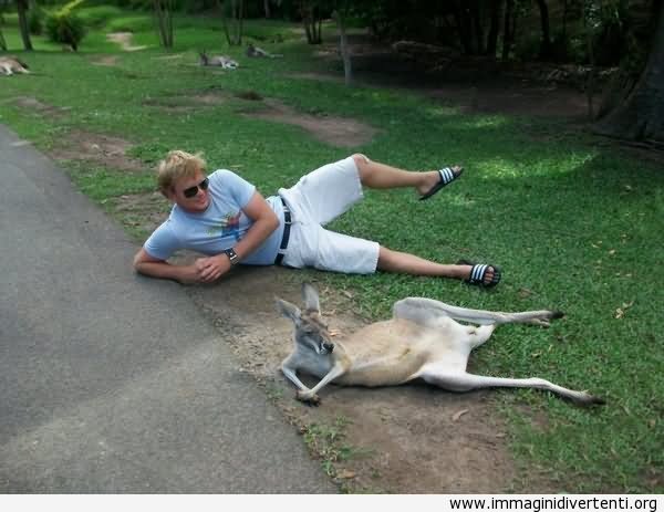 Man And Kangaroo Relaxing Funny Picture