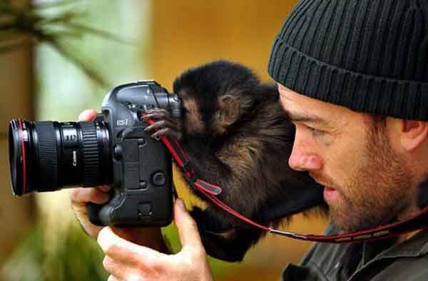 Monkey With Man Clicking Photo Funny Image