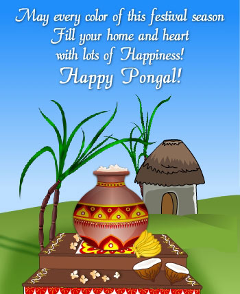 May Every Color Of This Festival Season Fill Your Home And Heart With Lots Of Happiness Happy Pongal
