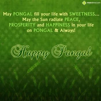 May Pongal Fill Your Life With Sweetness May The Sun Radiate Peace, Prosperity And Happiness In Your Life On Pongal & Always Happy Pongal Greetings