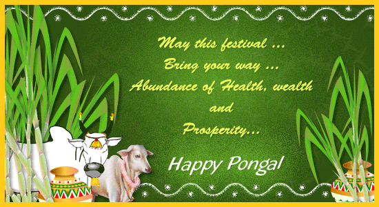 May The Festival Bring Your Way Abundance Of Health, Wealth And Prosperity Happy Pongal
