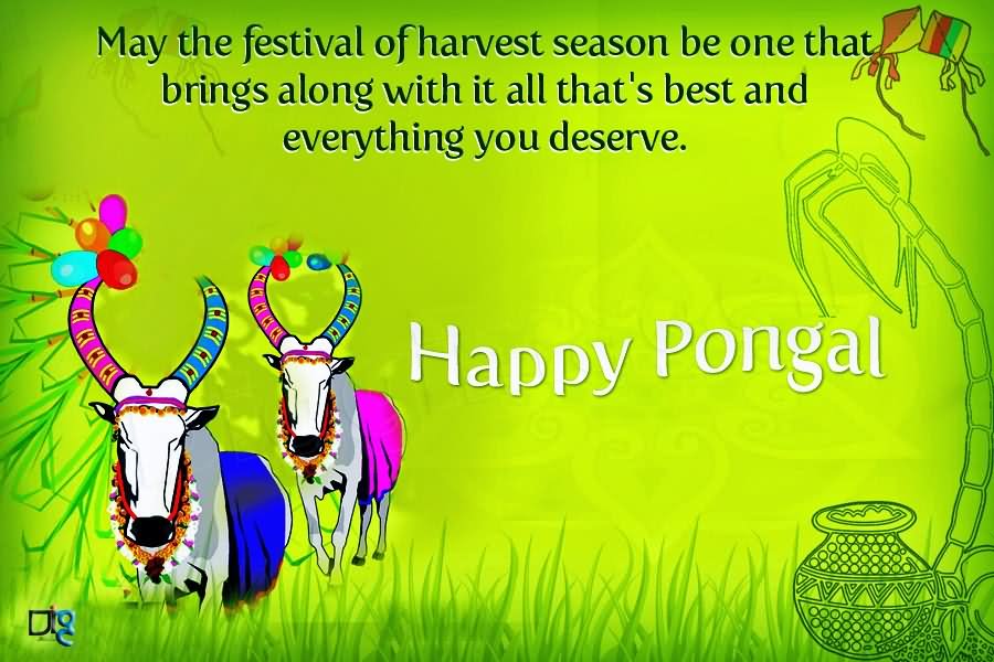 May The Festival Of Harvest Season Be One That Brings Along With It All That's Best And Everything You Deserve Happy Pongal