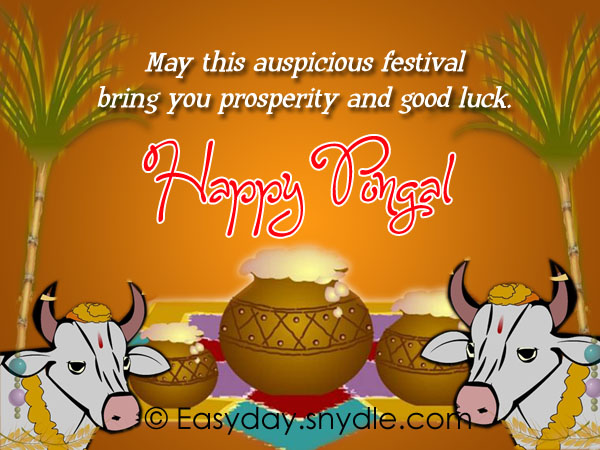 May This Auspicious Festival Brings You Prosperity And Good Luck Happy Pongal