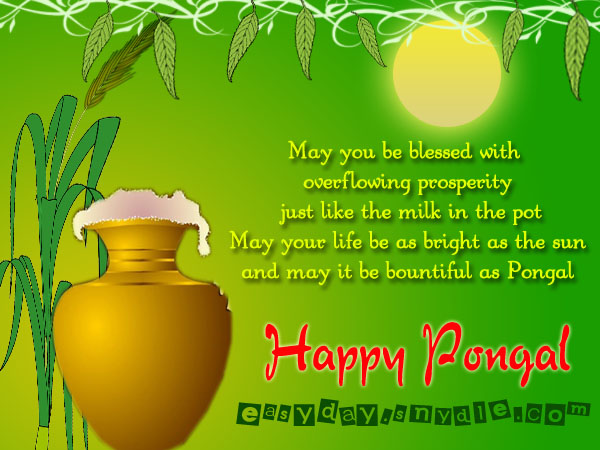 May You Be Blessed With Overflowing Prosperity Happy Pongal Greetings