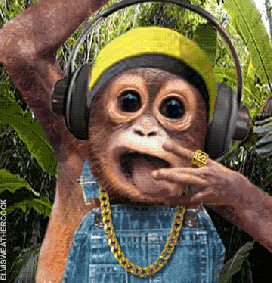 Monkey Listening Music Funny Gif