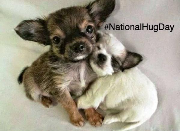 National Hug Day Cute Puppies Picture