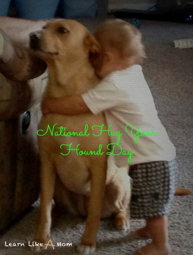 National Hug Your Hound Day