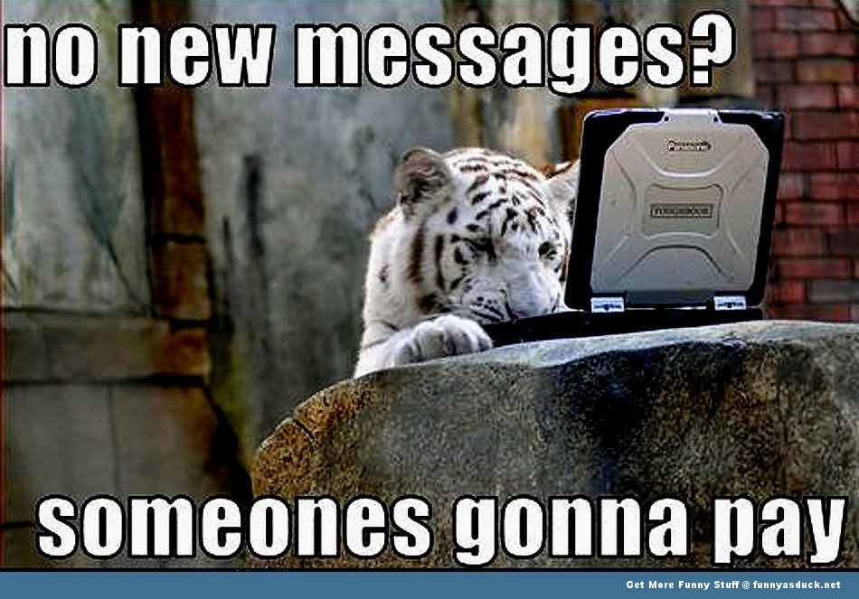 No New Messages Funny Tiger Meme