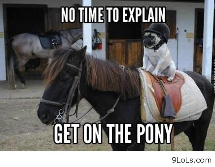 No Time To Explain Get On The Pony Funny Horse Meme