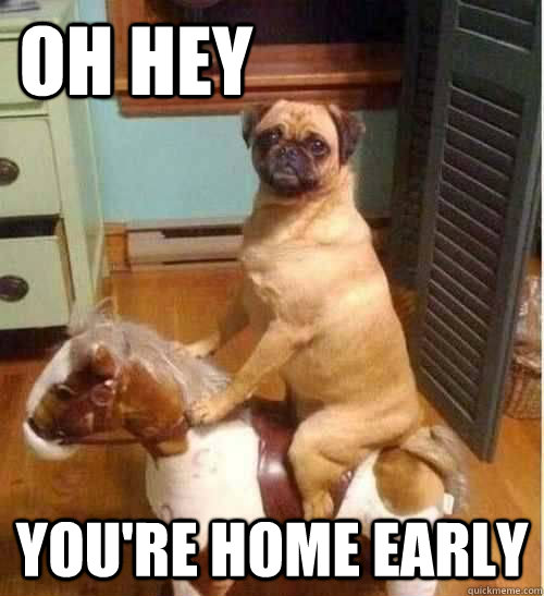 Oh Hey You Are Home Early Funny Horse Meme
